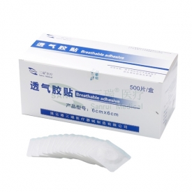 透氣膠貼（熱軋無(wú)紡布）